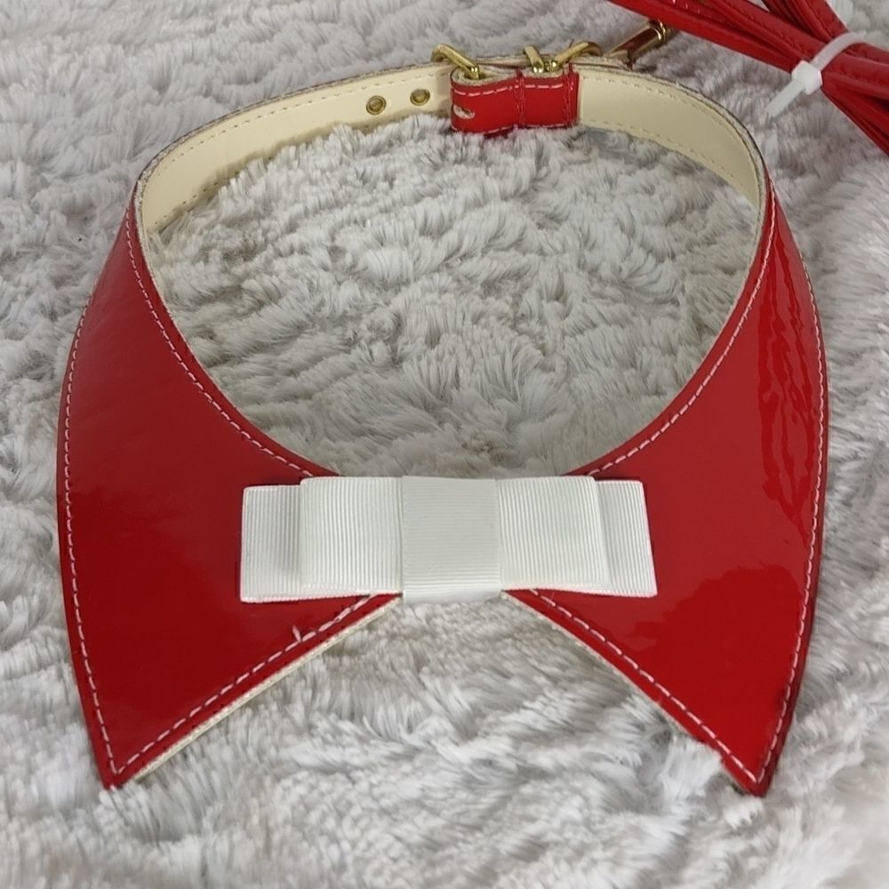 Red Dog Collar & Leash 18 - Picture 4 of 5